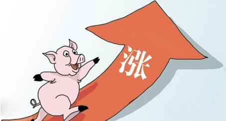 湖南jdb电子集团,jdb电子动物,猪场管理,非常规饲料原料开发,饲料
