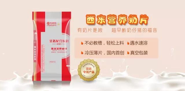 湖南jdb电子集团,jdb电子动物,猪场管理,非常规饲料原料开发,饲料