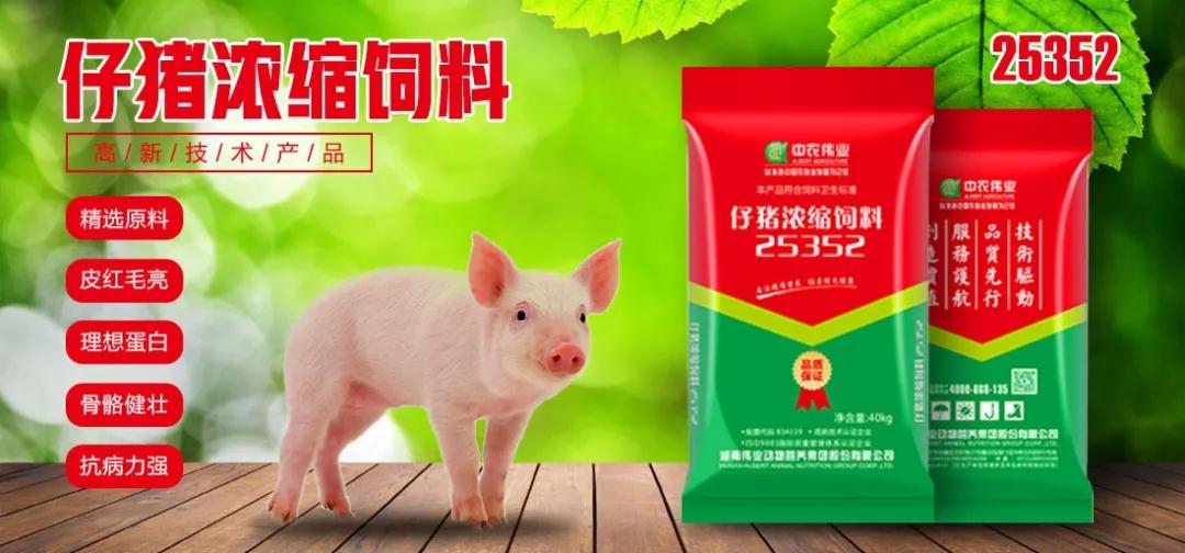 湖南jdb电子集团,jdb电子动物,猪场管理,非常规饲料原料开发,饲料