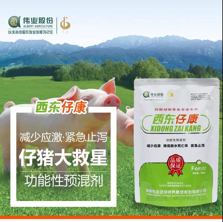 湖南jdb电子集团,jdb电子动物,猪场管理,非常规饲料原料开发,饲料