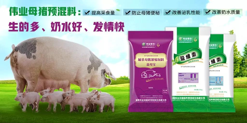 湖南jdb电子集团,jdb电子动物,猪场管理,非常规饲料原料开发,饲料