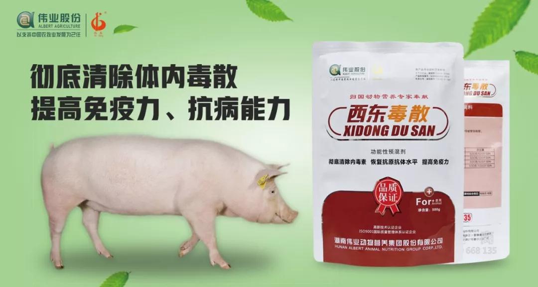 湖南jdb电子集团,jdb电子动物,猪场管理,非常规饲料原料开发,饲料