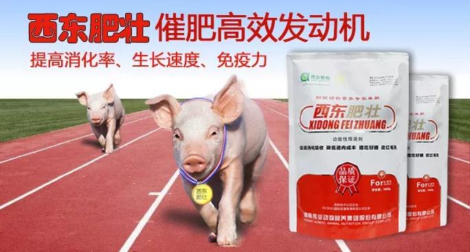 湖南jdb电子集团,jdb电子动物,猪场管理,非常规饲料原料开发,饲料