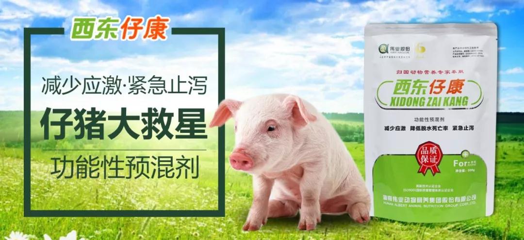 湖南jdb电子集团,jdb电子动物,猪场管理,非常规饲料原料开发,饲料