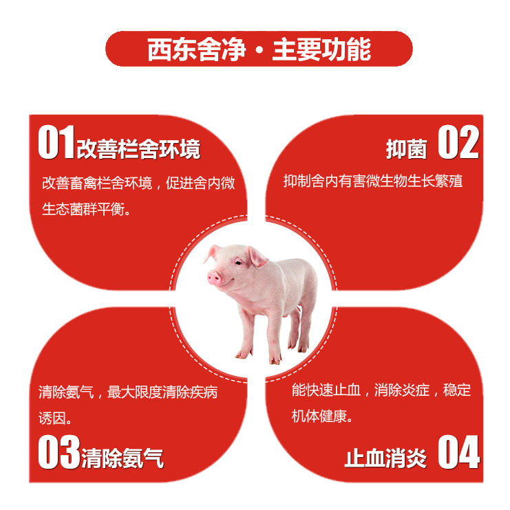 湖南jdb电子集团,jdb电子动物,猪场管理,非常规饲料原料开发,饲料