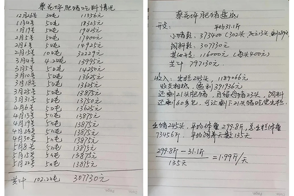湖南jdb电子集团,jdb电子动物,猪场管理,非常规饲料原料开发,饲料