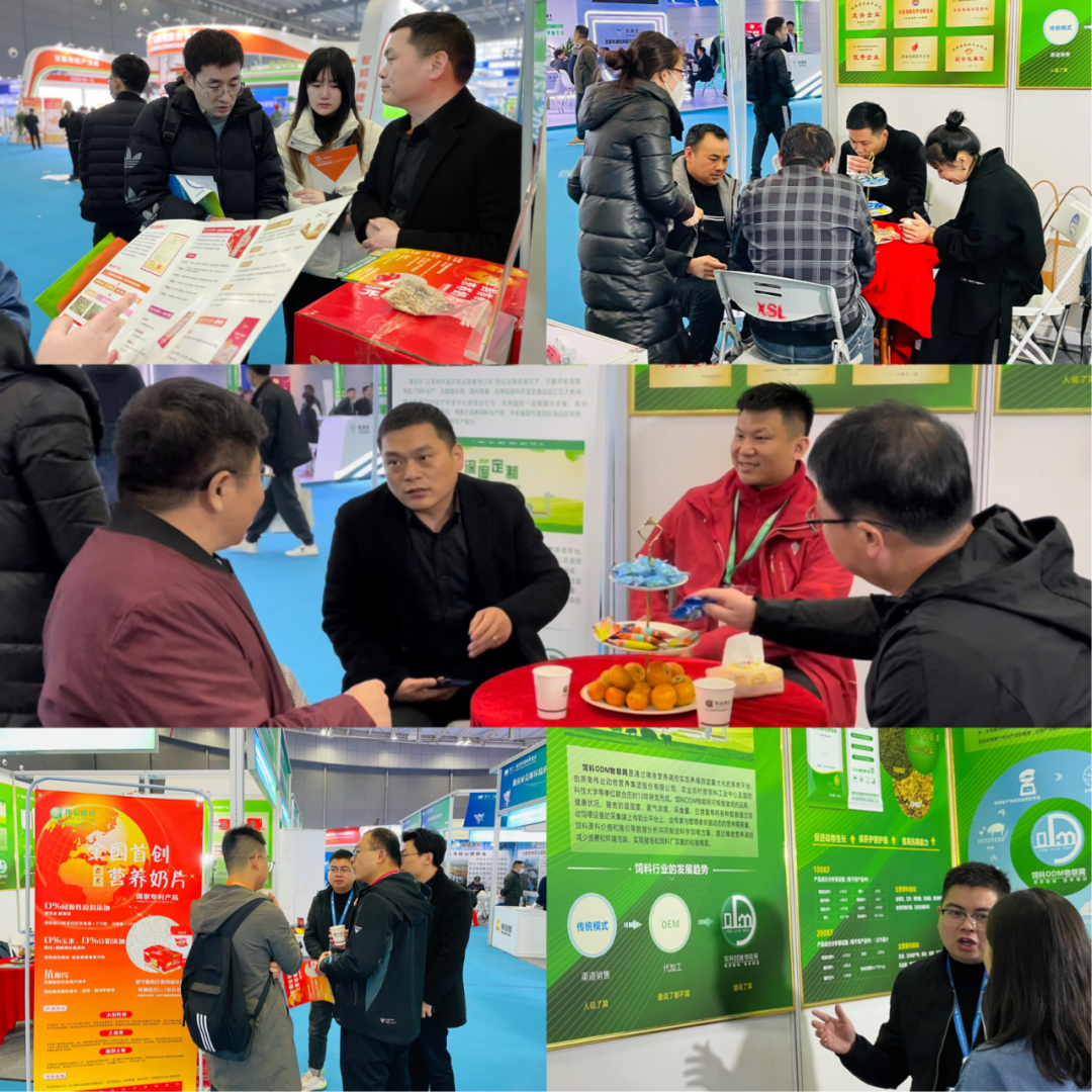 湖南jdb电子集团,jdb电子动物,猪场管理,非常规饲料原料开发,饲料